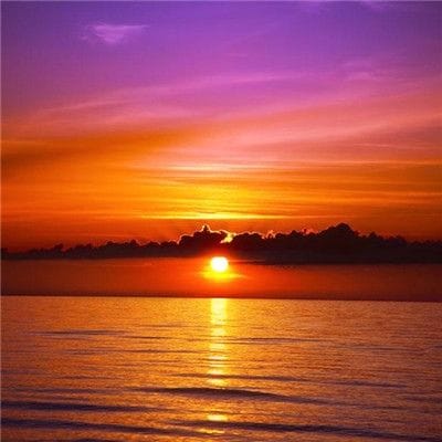 Lê Thị Thơm avatar